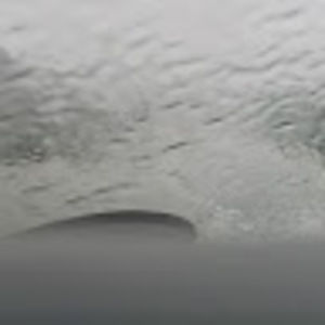 Meet your Posher, Larry